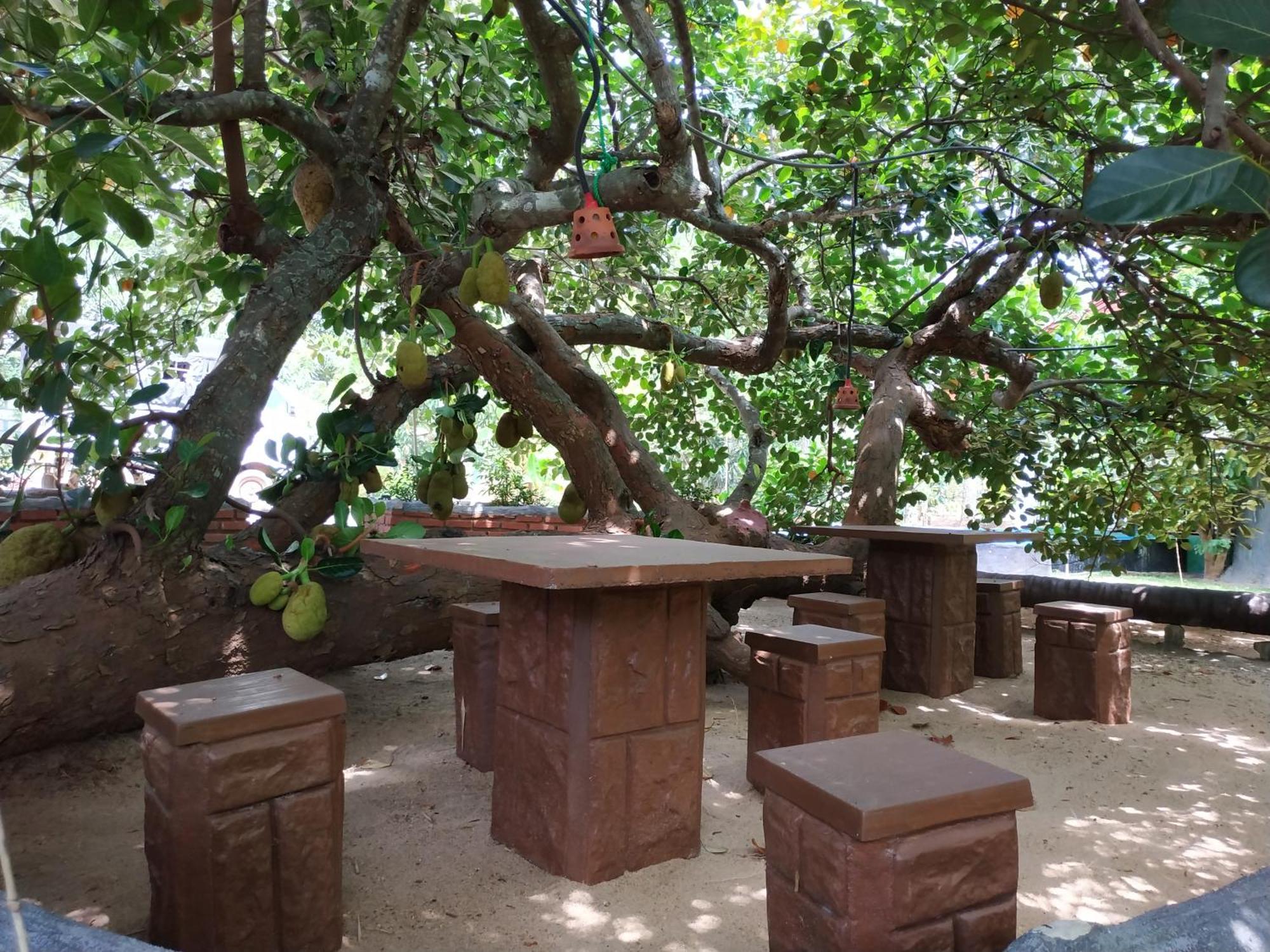 Sigiriya Cashew Palace Resort Daganapothaha Εξωτερικό φωτογραφία