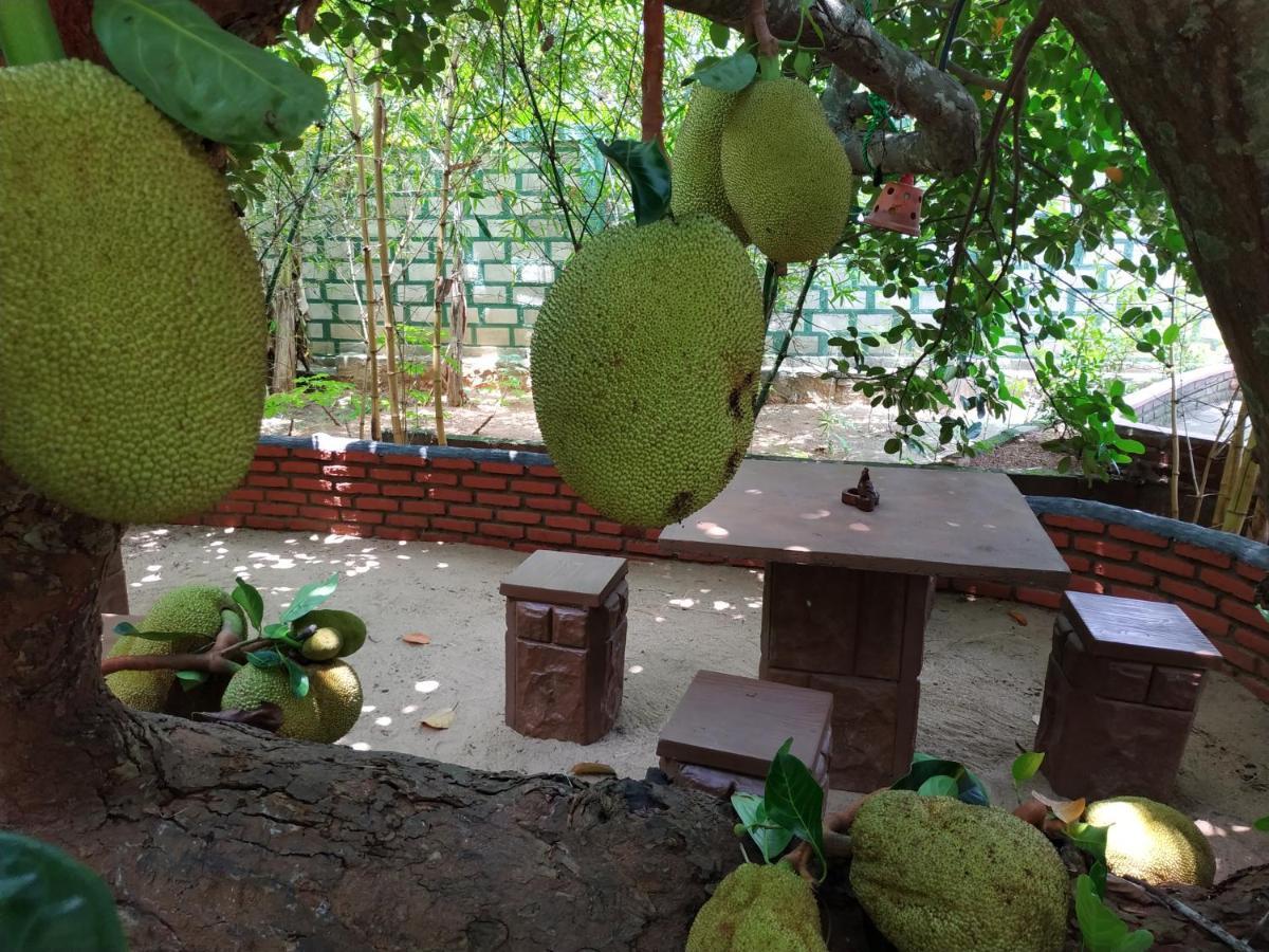 Sigiriya Cashew Palace Resort Daganapothaha Εξωτερικό φωτογραφία