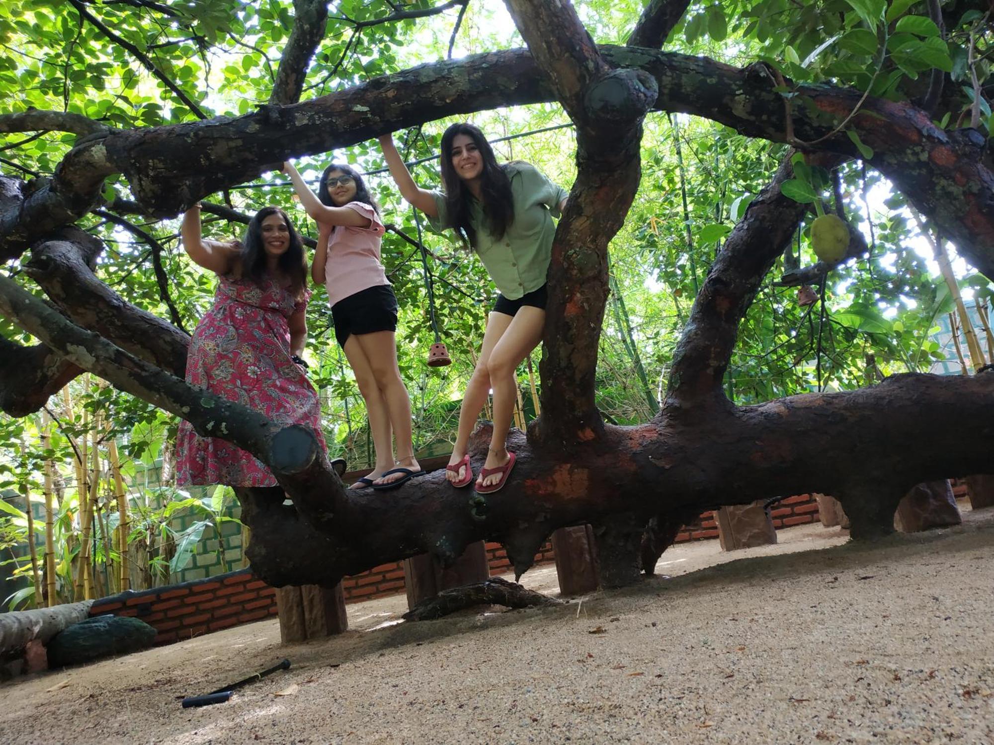 Sigiriya Cashew Palace Resort Daganapothaha Εξωτερικό φωτογραφία