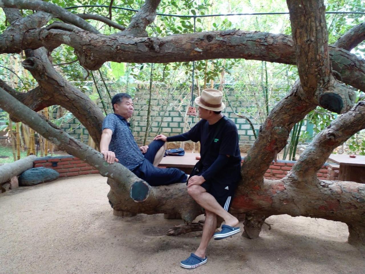 Sigiriya Cashew Palace Resort Daganapothaha Εξωτερικό φωτογραφία