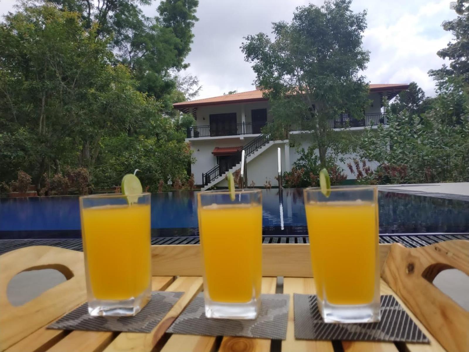 Sigiriya Cashew Palace Resort Daganapothaha Εξωτερικό φωτογραφία
